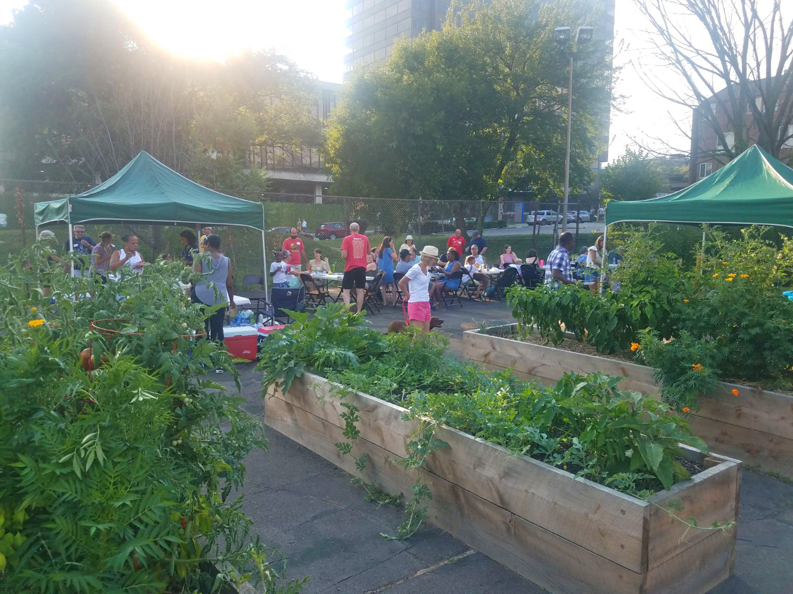 Grow Pittsburgh East Commons summer party 2019